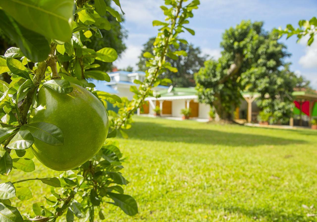 Gite Hibiscus Destrellan Baie-Mahault Exterior photo